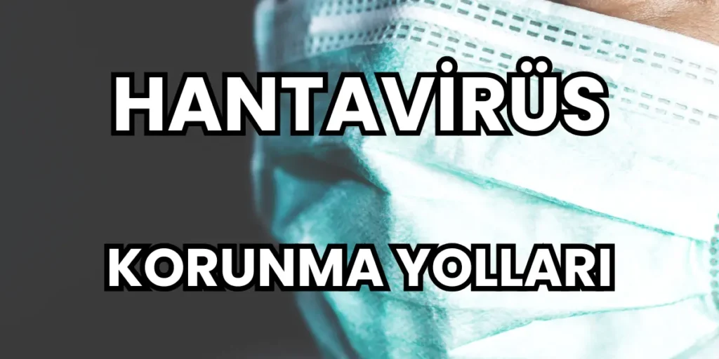 Hantavirüs Korunma Yolları