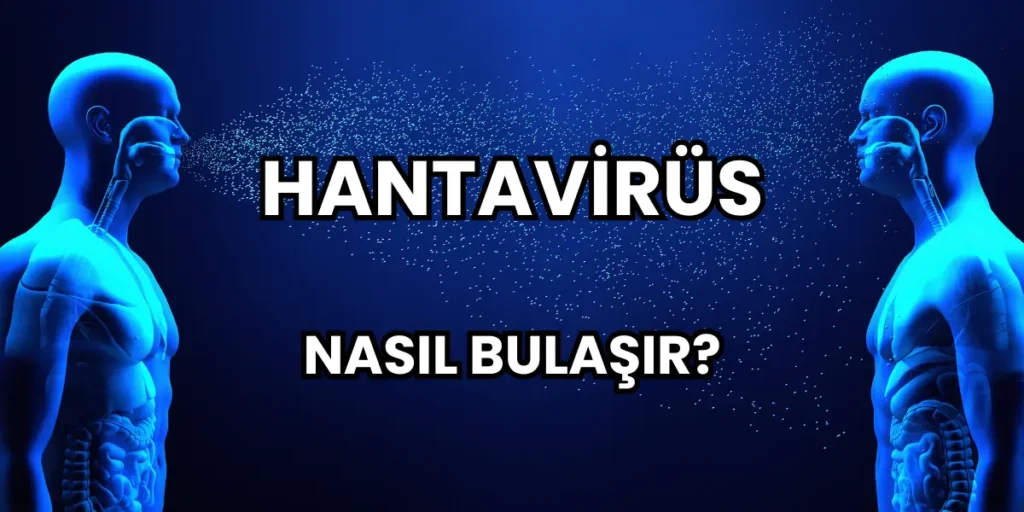 Hantavirüs Nasıl Bulaşır?