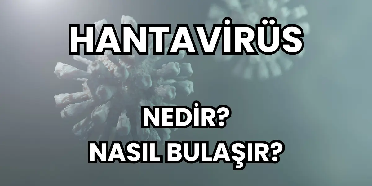 Hantavirüs Nedir? Nasıl Bulaşır?